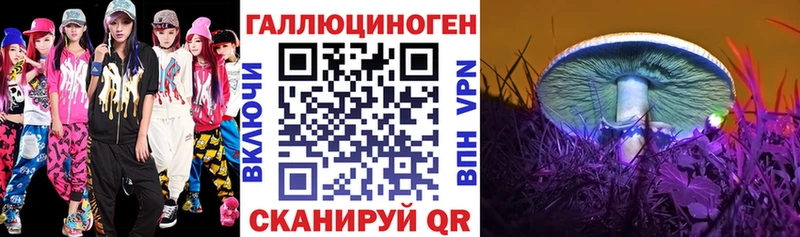 Псилоцибиновые грибы Psilocybe  купить наркотики цена  Североморск 
