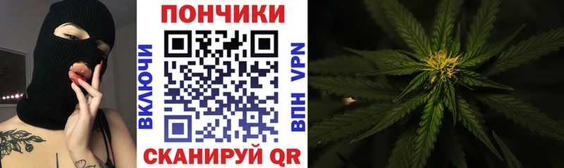 Каннабис Amnesia  MEGA   Североморск  продажа наркотиков 